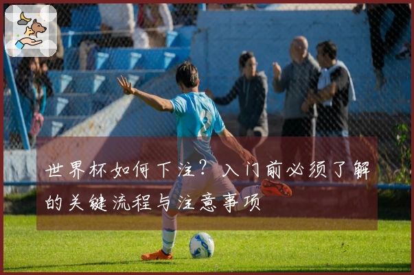 世界杯如何下注？入门前必须了解的关键流程与注意事项