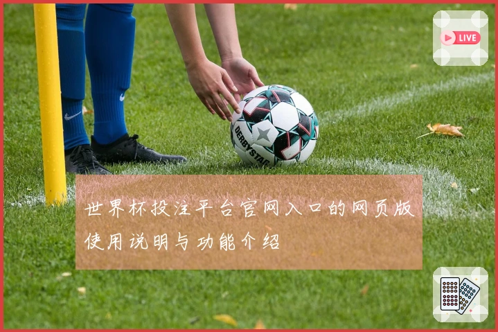 世界杯投注平台官网入口的网页版使用说明与功能介绍