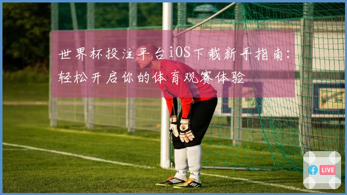 世界杯投注平台iOS下载新手指南：轻松开启你的体育观赛体验