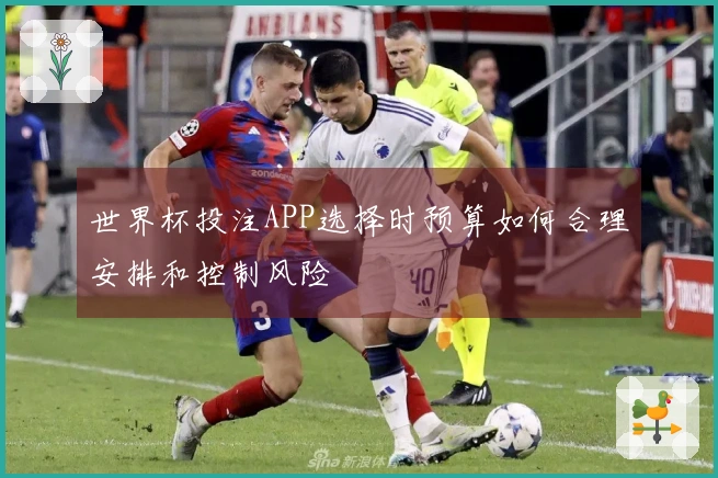 世界杯投注APP选择时预算如何合理安排和控制风险