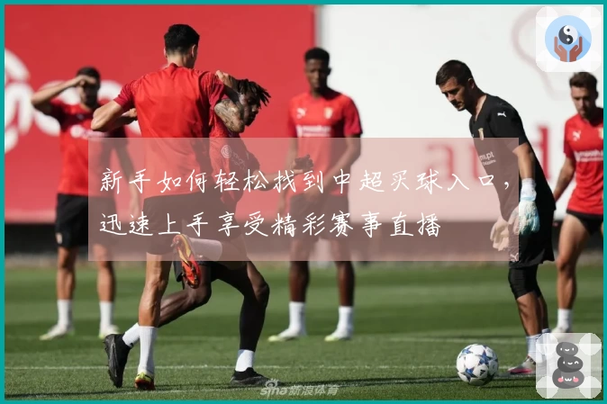 新手如何轻松找到中超买球入口，迅速上手享受精彩赛事直播