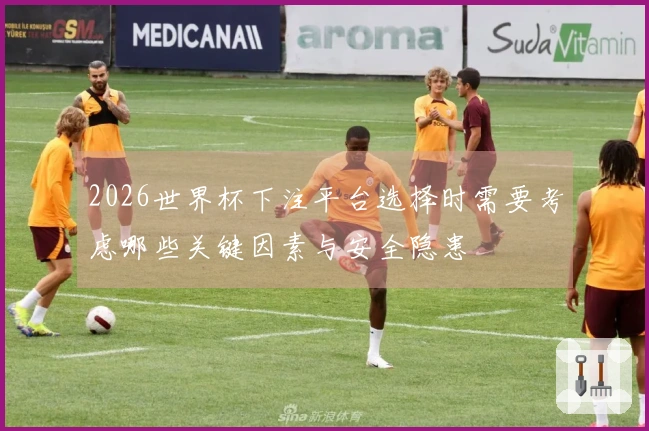 2026世界杯下注平台选择时需要考虑哪些关键因素与安全隐患