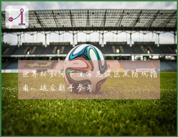世界杯如何下注常见误区及防坑指南，适合新手参考