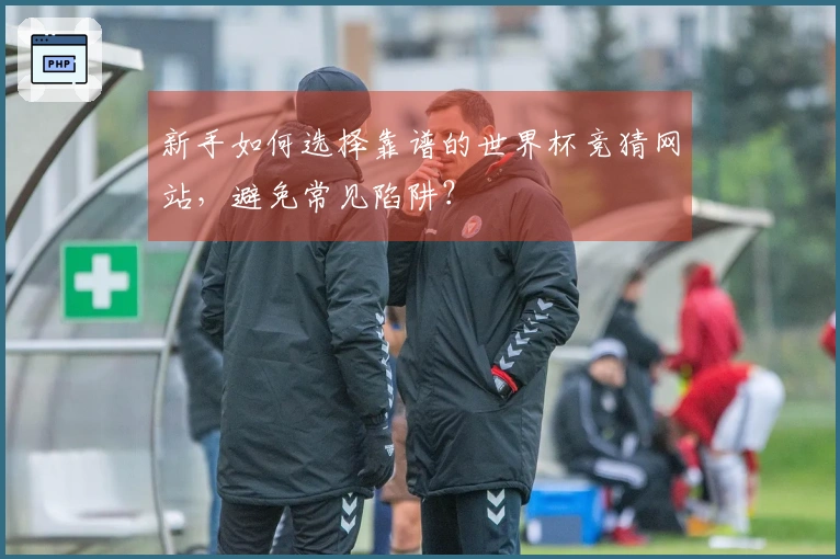 新手如何选择靠谱的世界杯竞猜网站，避免常见陷阱？