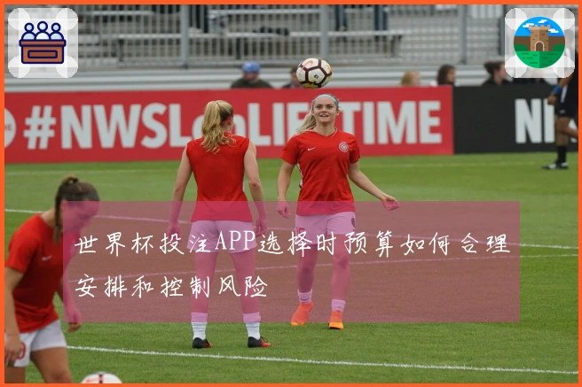 世界杯投注APP选择时预算如何合理安排和控制风险