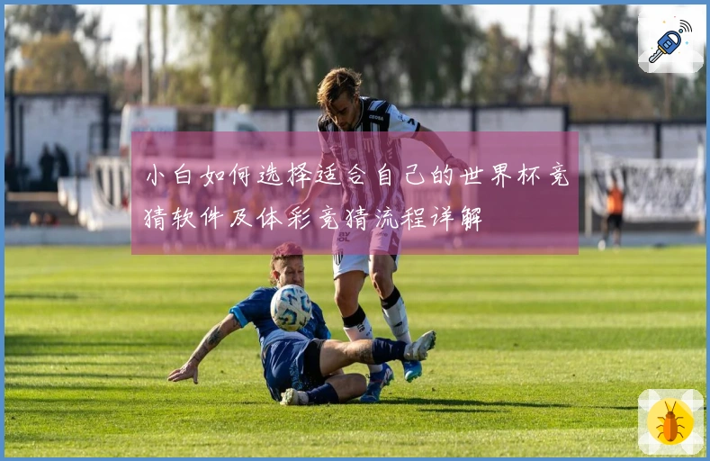 小白如何选择适合自己的世界杯竞猜软件及体彩竞猜流程详解
