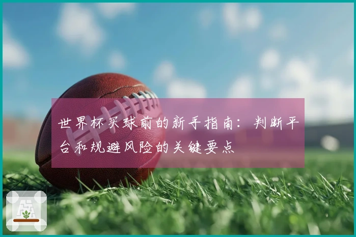 世界杯买球前的新手指南：判断平台和规避风险的关键要点