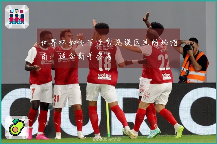 世界杯如何下注常见误区及防坑指南，适合新手参考