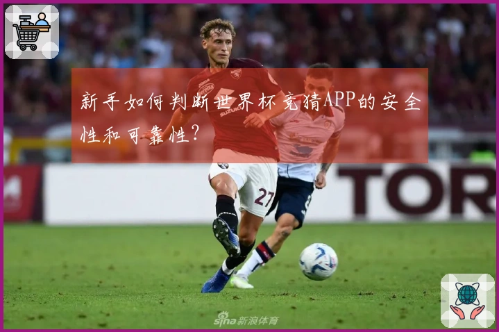 新手如何判断世界杯竞猜APP的安全性和可靠性？