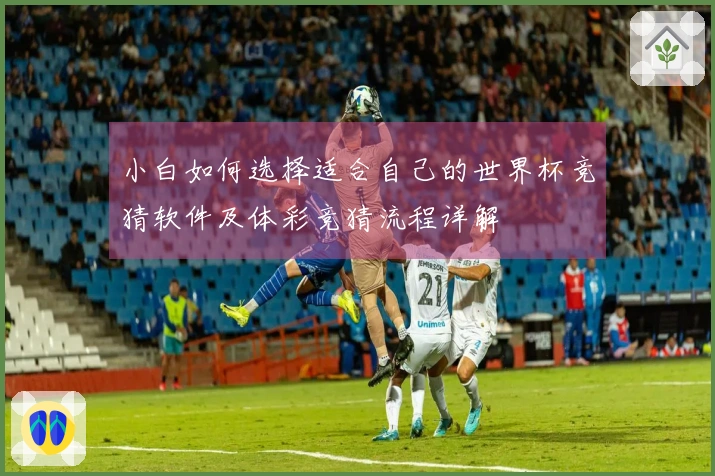小白如何选择适合自己的世界杯竞猜软件及体彩竞猜流程详解