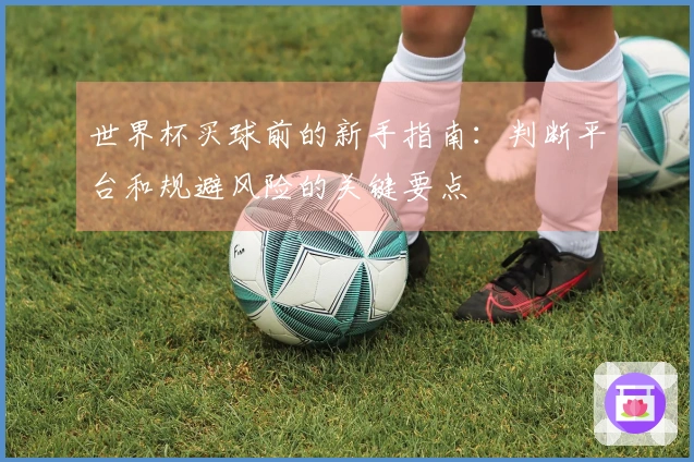 世界杯买球前的新手指南：判断平台和规避风险的关键要点